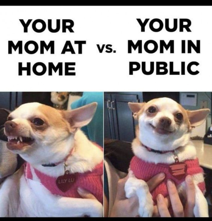 Home Mom Vs Public Mom