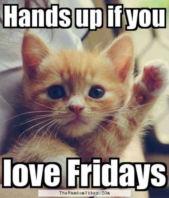 Hands Up If You Love Friday