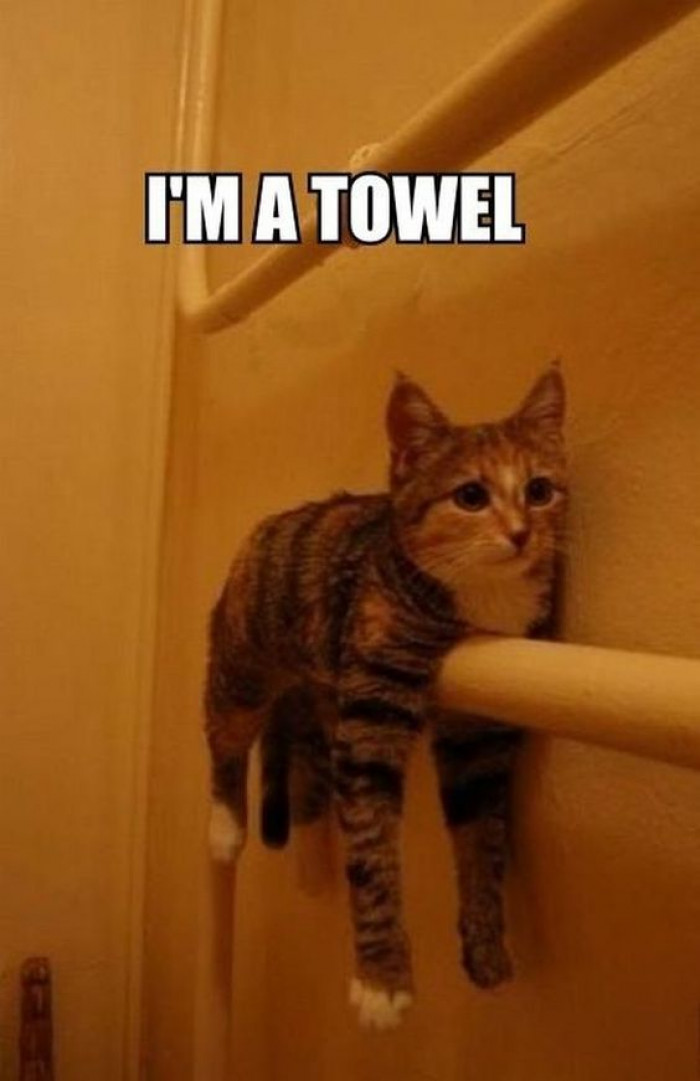 I Am A Towel