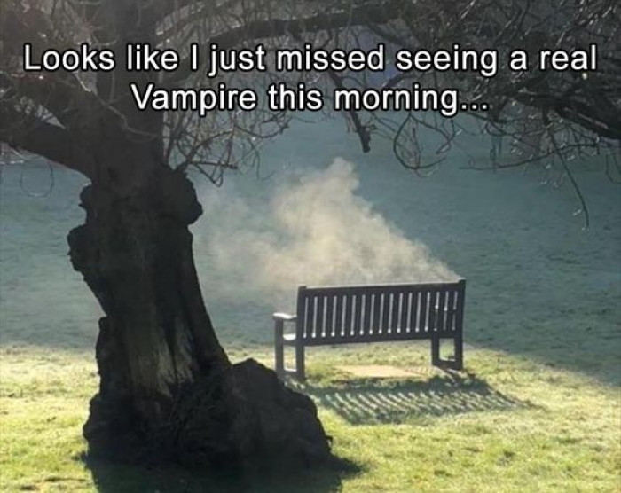 I Missed The Vampire