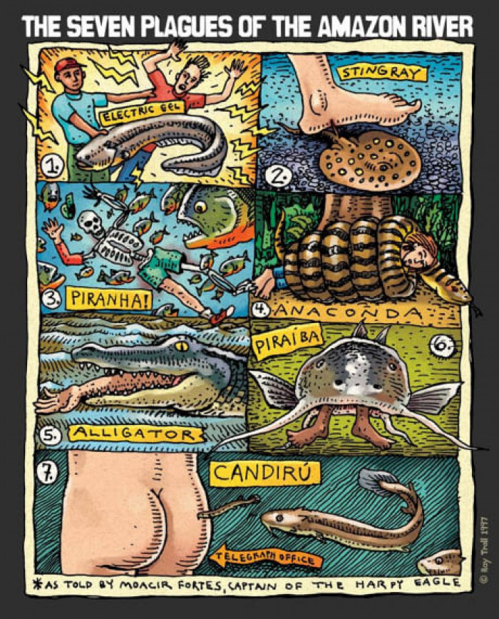 The Seven Plagues Of Amazon River