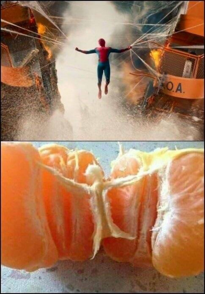 Wait Its A Spiderman
