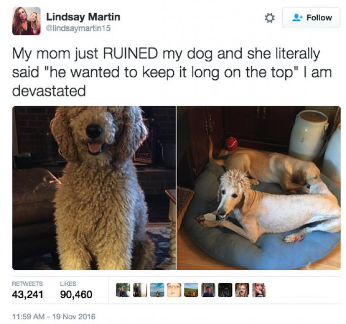 When Your Mom Ruins The Dog