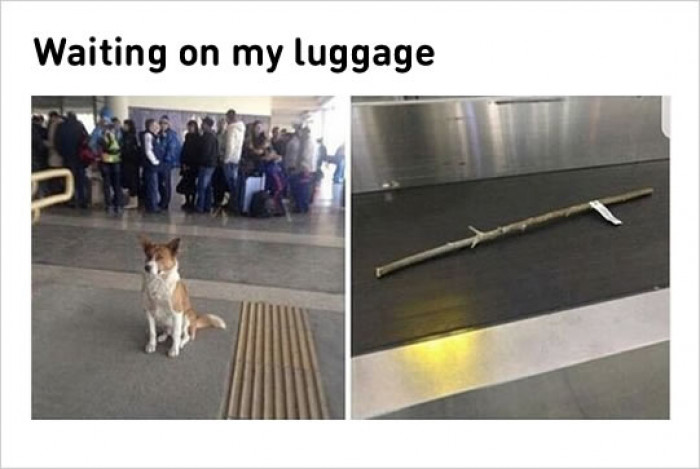 Where Is My Luggage