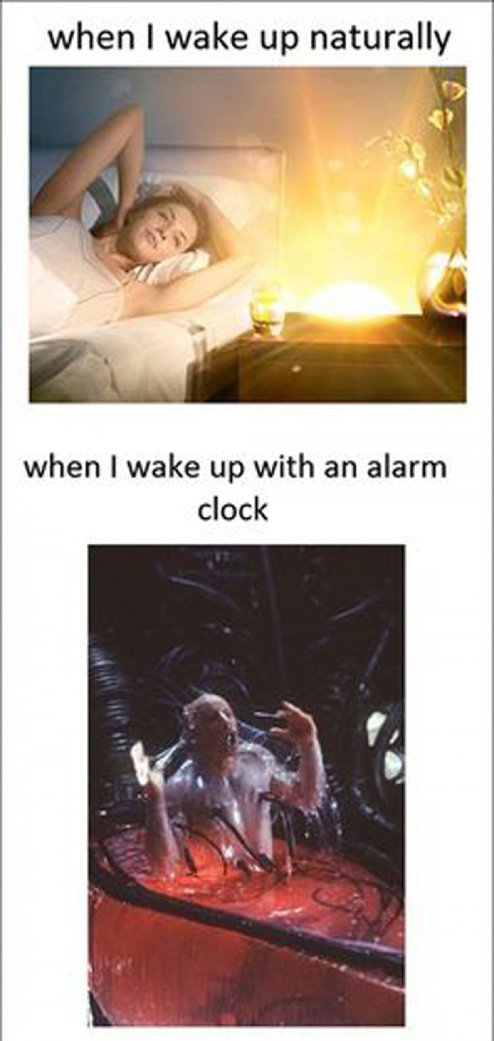 Woke Up By The Alarm Clock