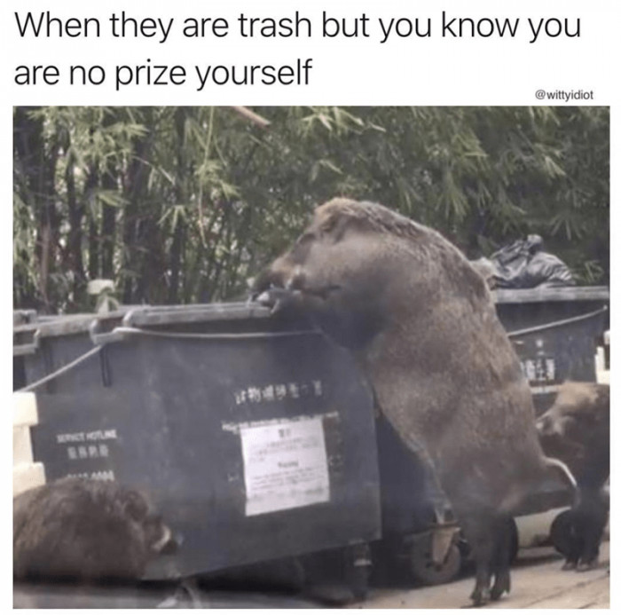 Checking Out The Trash