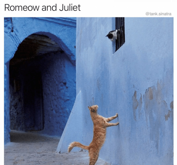 Romeoww And Juliet
