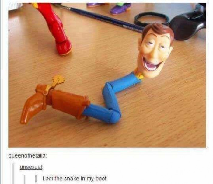 Snake In My Boot