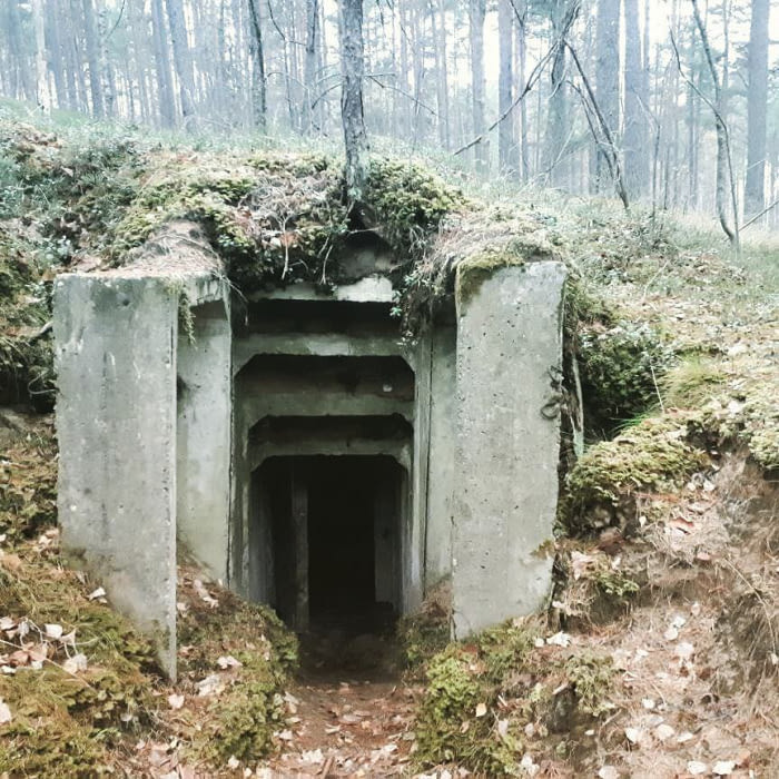 An Old Soviet Bunkers In The Woods.