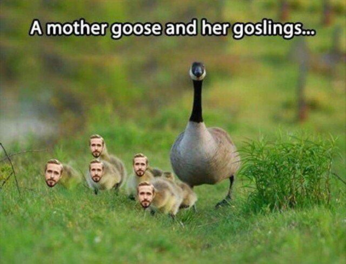 Ryan Gosling : The Early Years