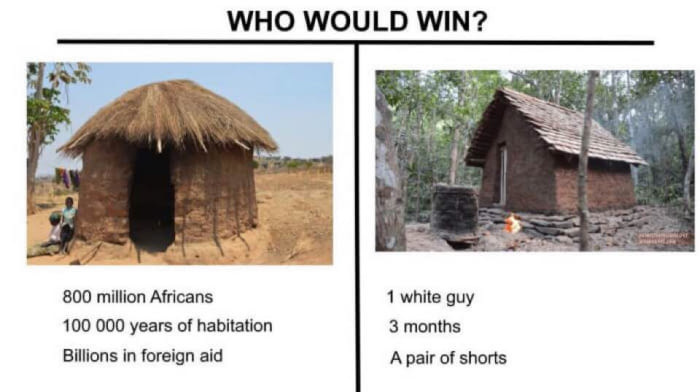Who Would Win ?