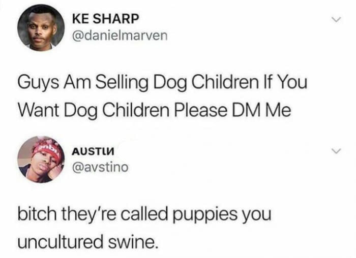 Bitch They're Called Puppies