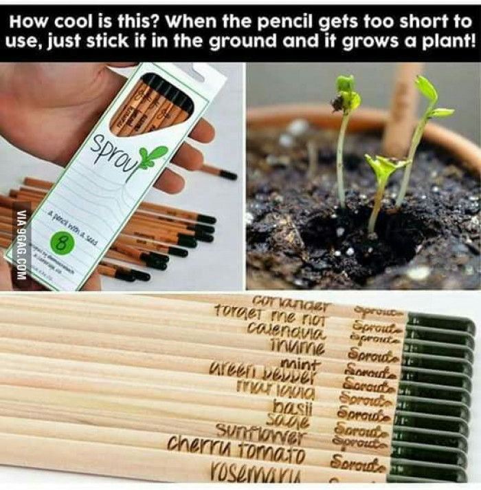 Genius Environmental Idea!