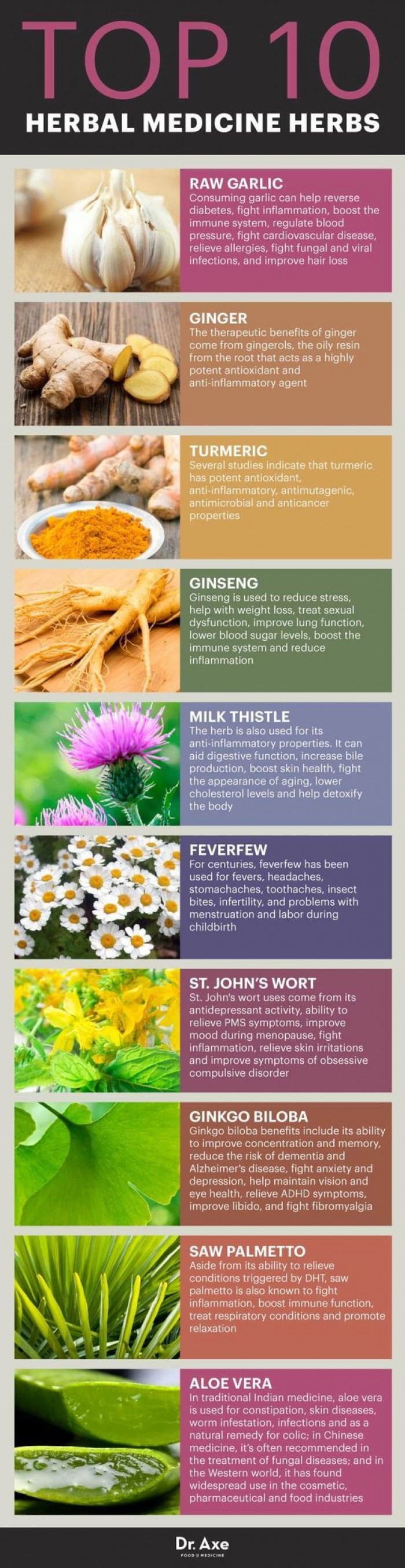 10 Herbal Remedies That You Should Replace Your Drugs With