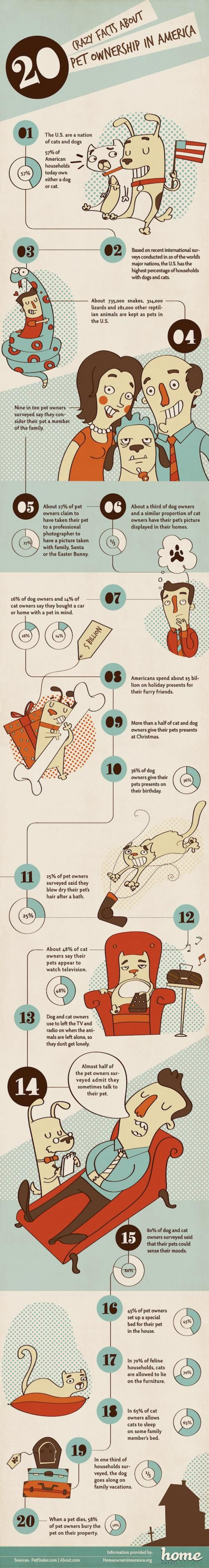 20 Crazy Facts About Pet Ownership In USA