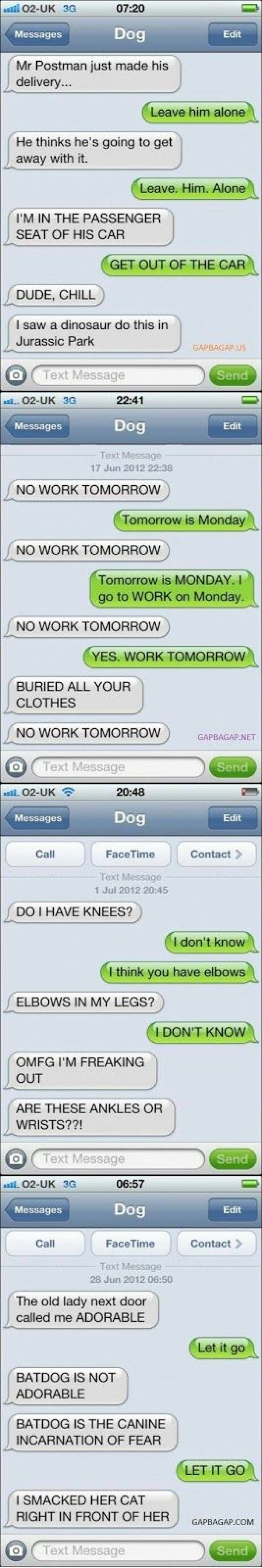 4 Funny Texts Between Dog And You