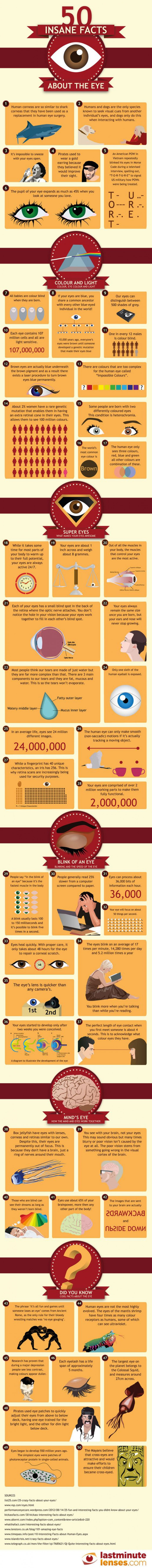 50 Insane And Amazing Facts About The Human Eye