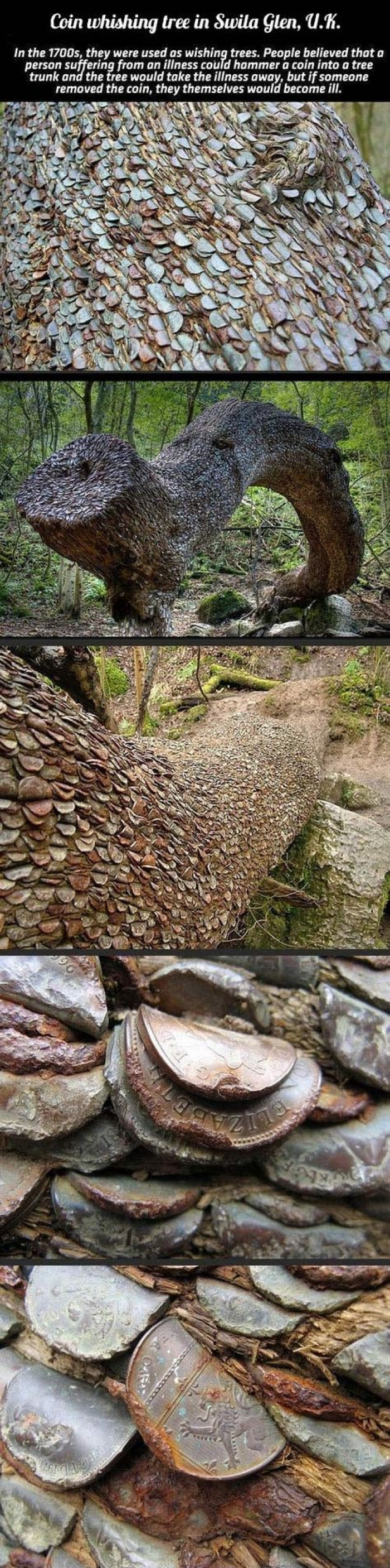A Coin Wishing Tree In UK
