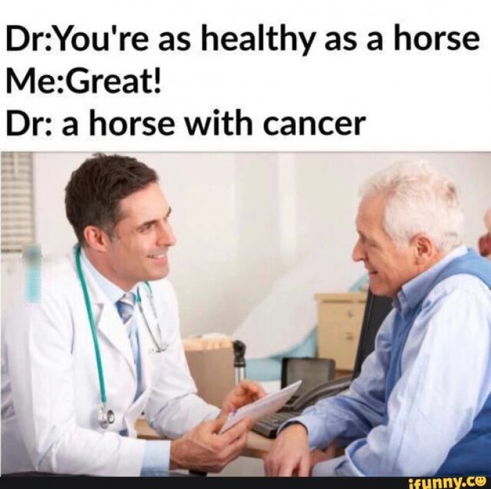 A horse with cancer