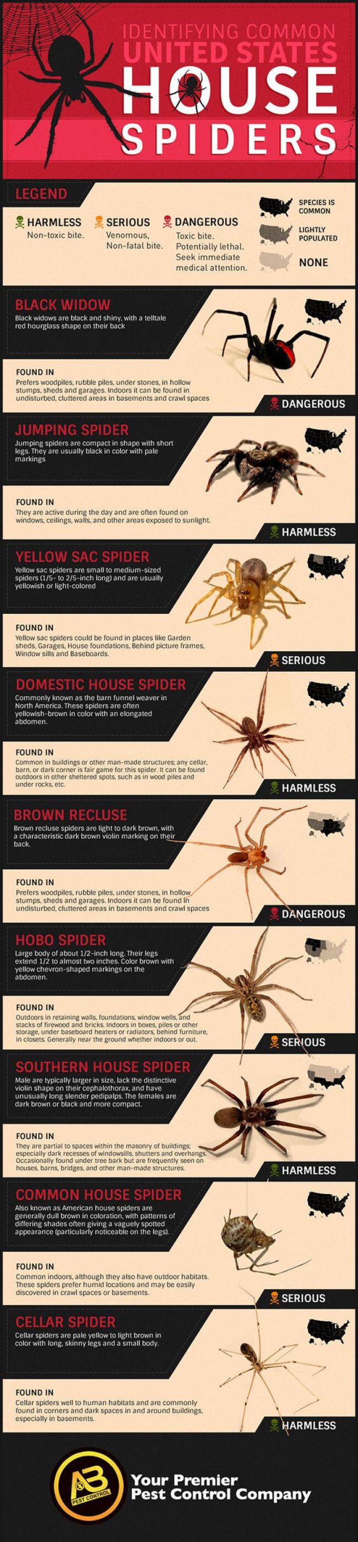 Useful Spider Identification Chart So You Can Look Brave While Holding A Harmless Spider