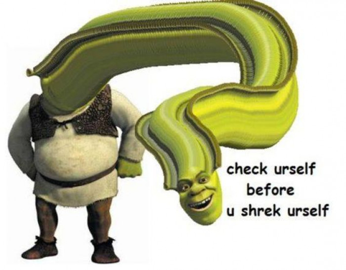 before you Shrek yourself