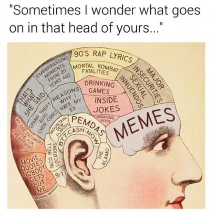 brain content