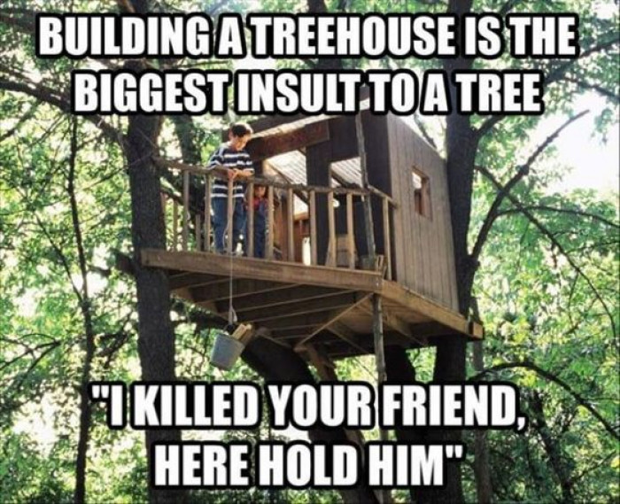 Building A Treehouse Like...