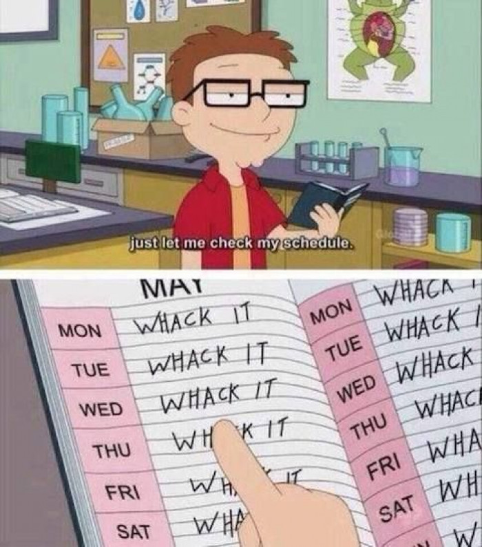 Check my schedule