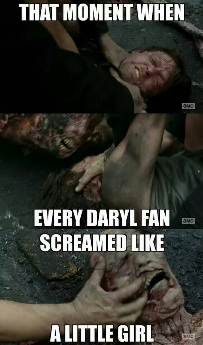 Daryl Fans