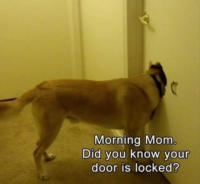 Did You Know Your Door Is Locked?