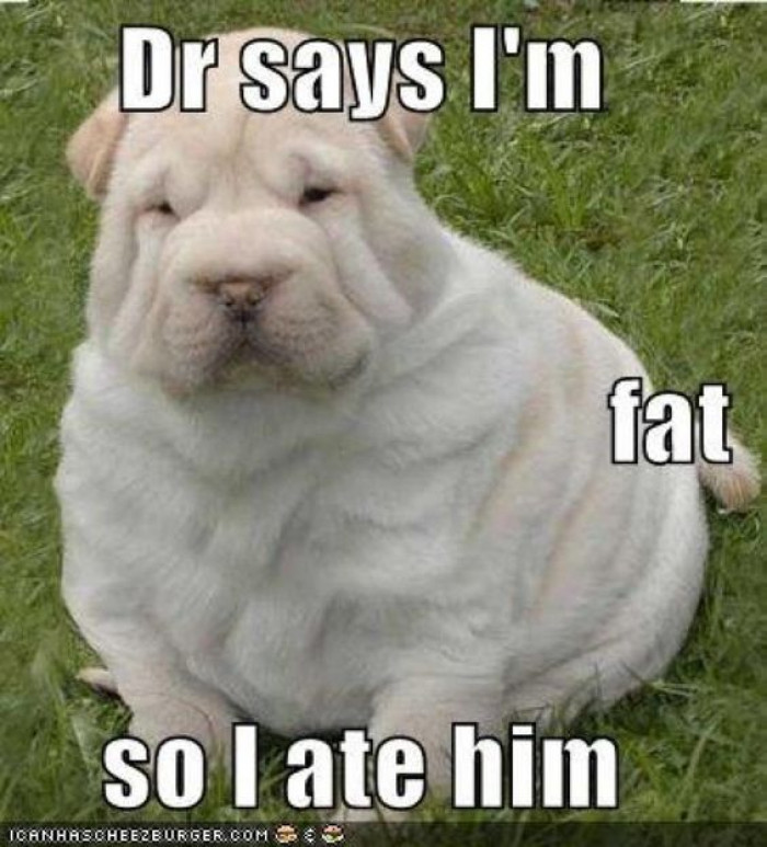 Dr Said I'm Fat... So I Ate Him
