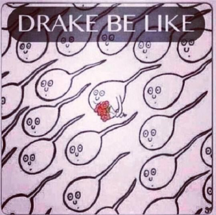 Drake genes
