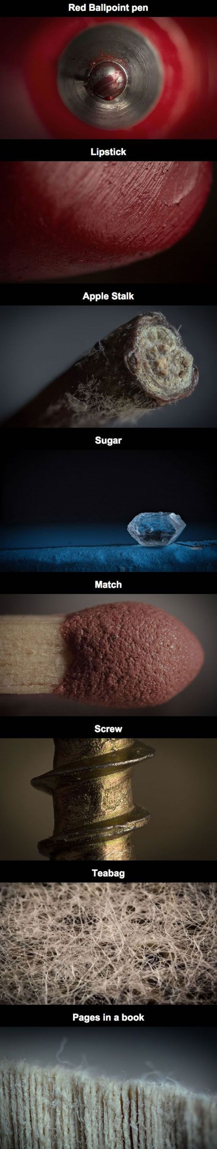 Extreme Close Ups Of Every Day Objects