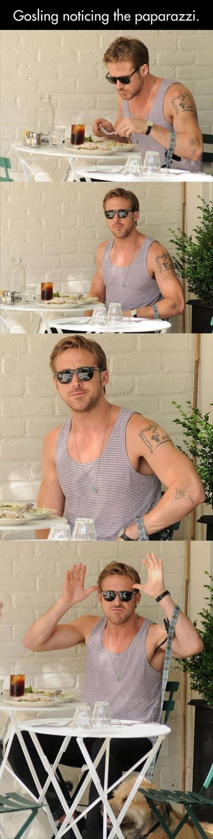 Gosling Noticing The Paparazzi  