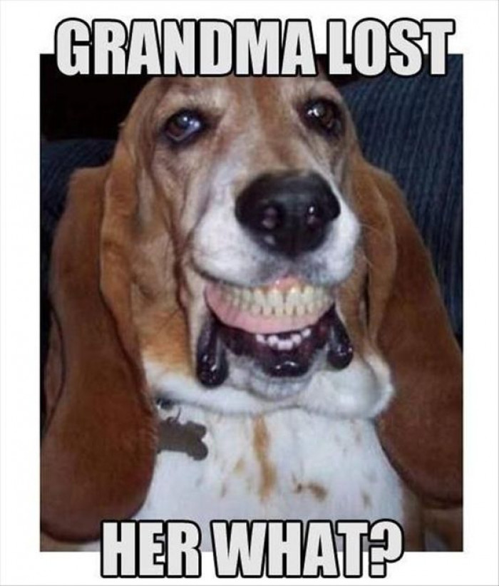 Grandma Lost Her What?