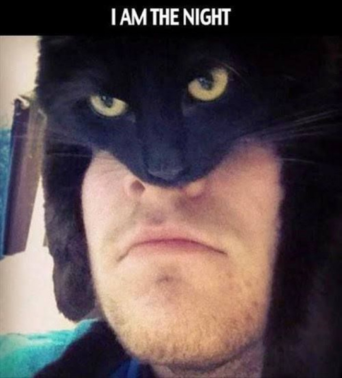 I am Cat and Man