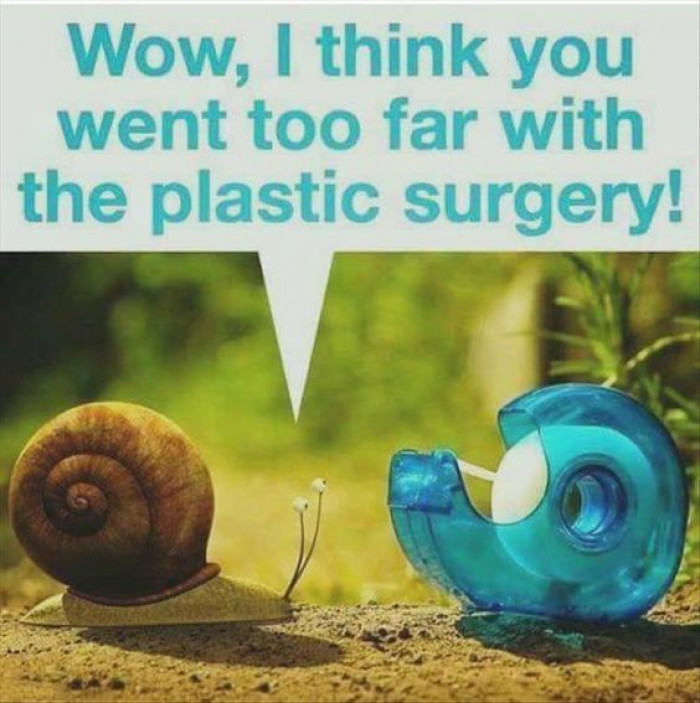 I Think You Went Too Far With The Surgery