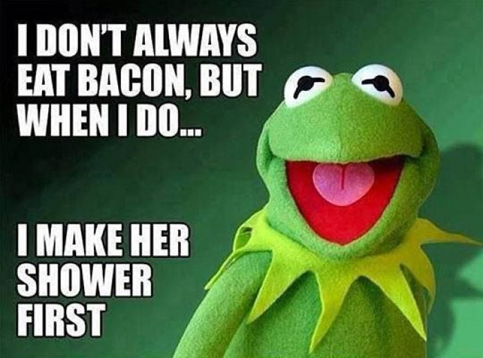 Kermit the frog.