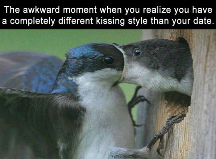 Kissing Someone Who's A Little Different!