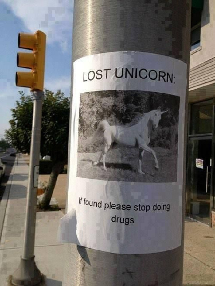 Lost unicorn, if found please stop doing drugs