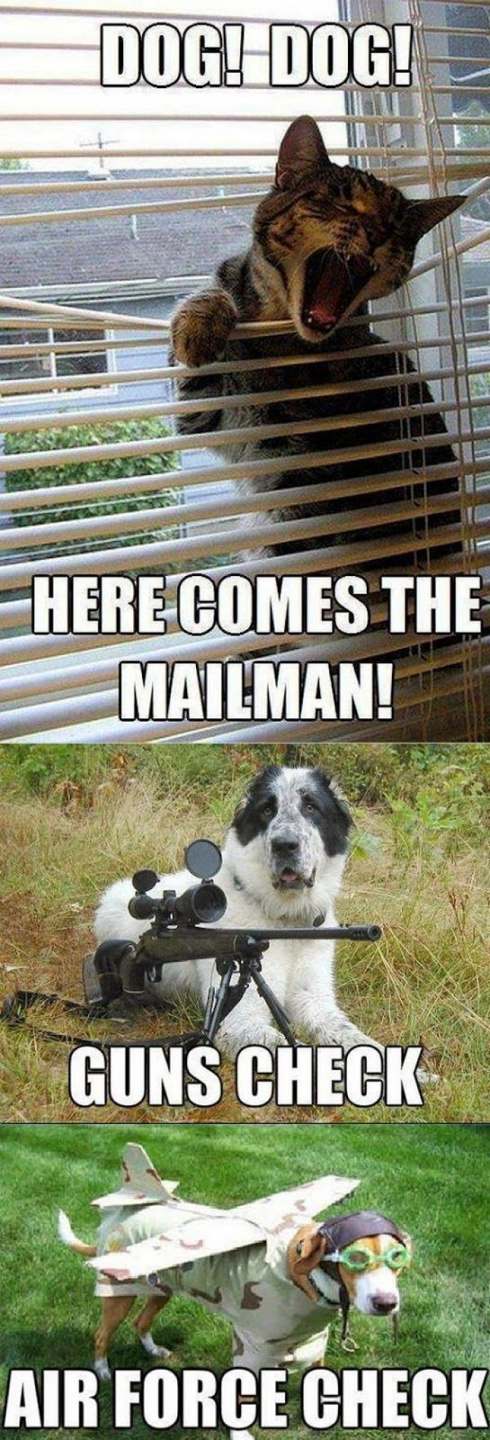 Mailman in sight