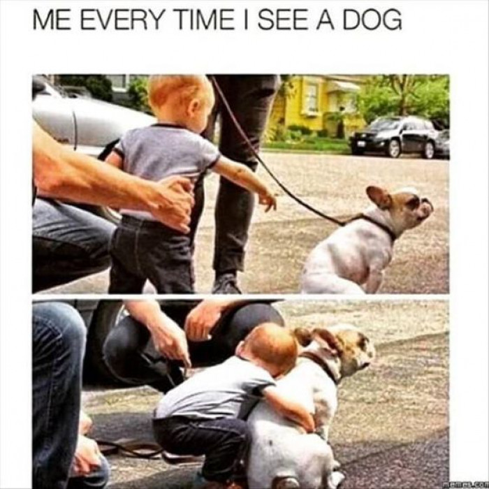 Me Every Time I See A Dog