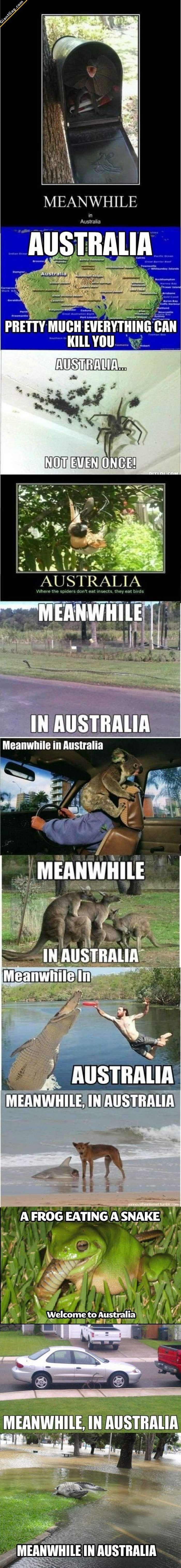 Meanwhile In Australia 
