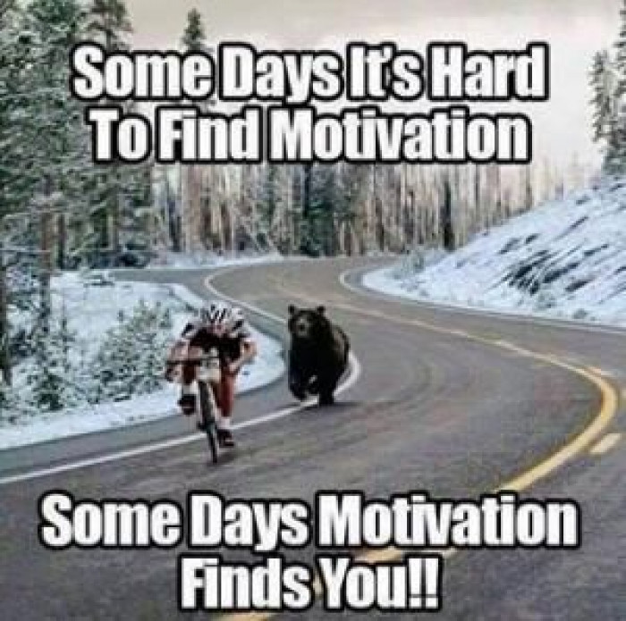 Motivation no