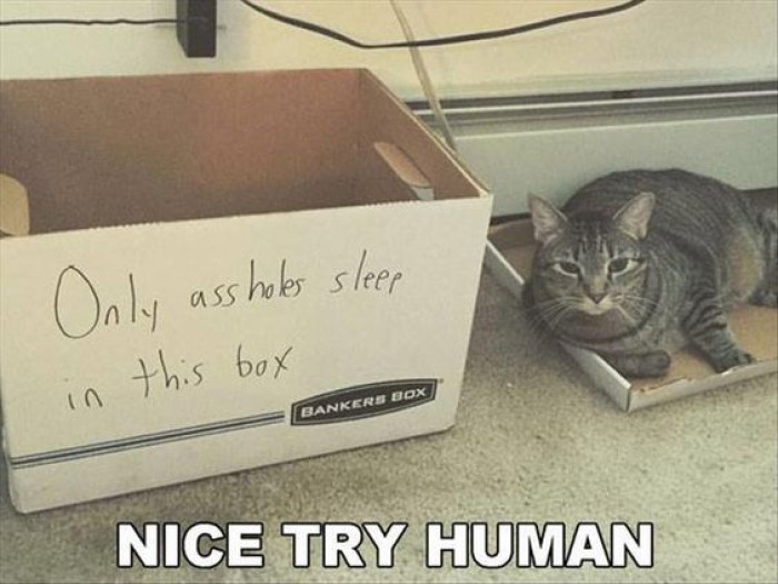Nice Try Human