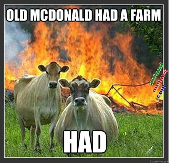 Old McDonald HAD A Farm