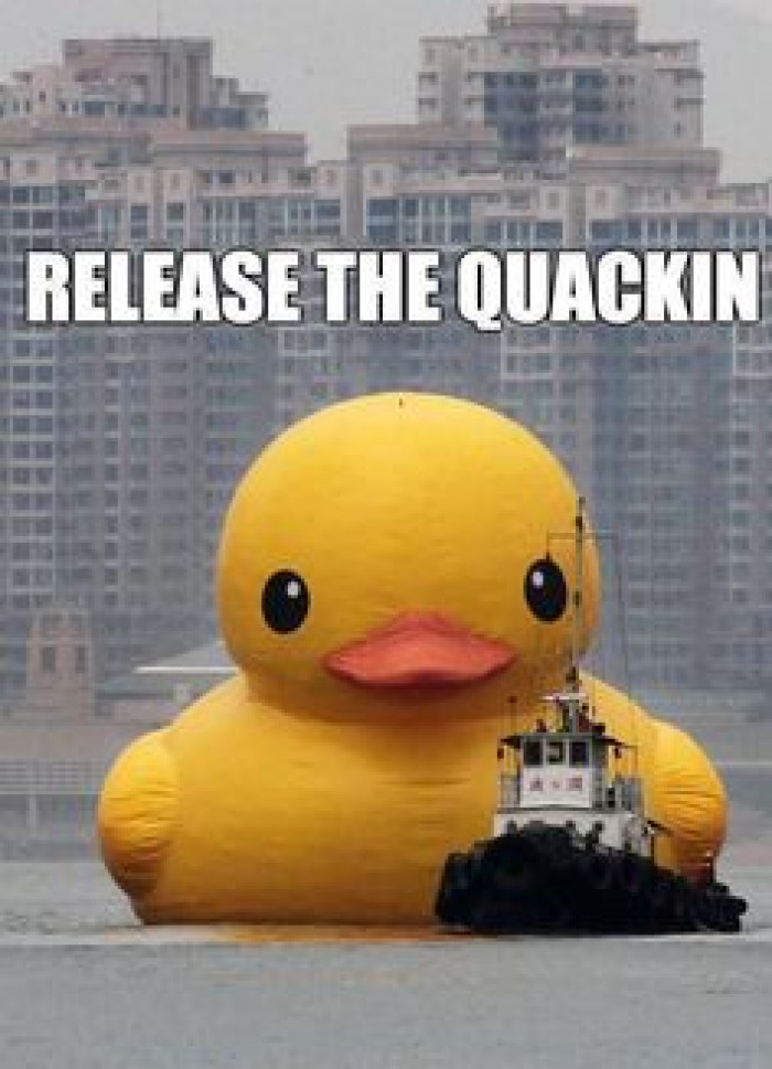 Quack!!