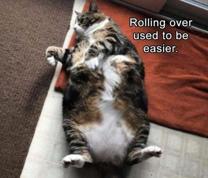 Rolling Over Used To Be Easier