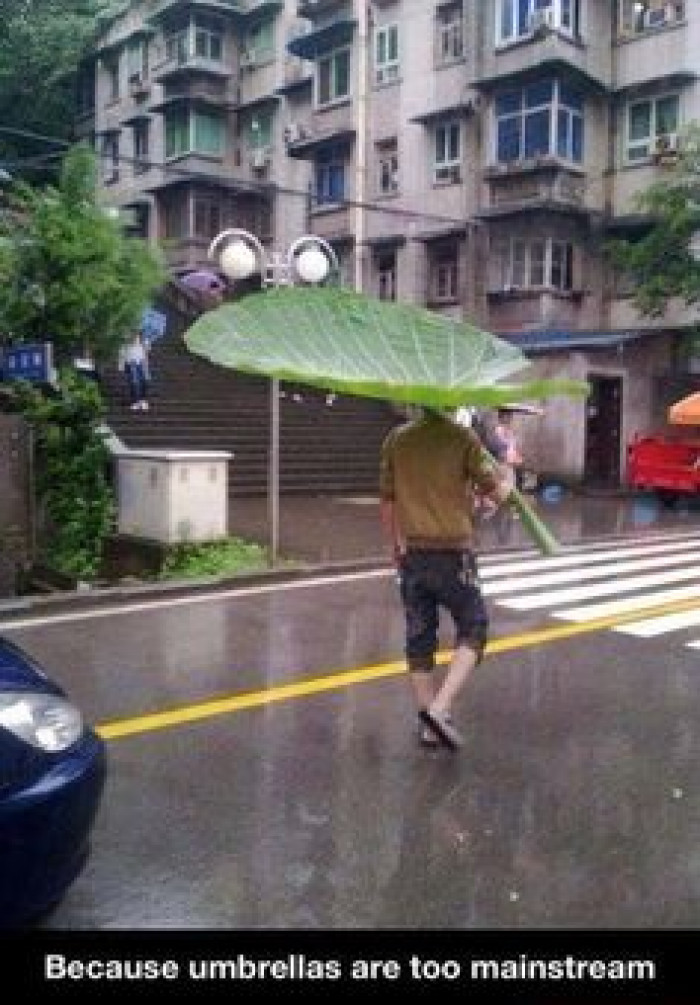 Screw umbrellas