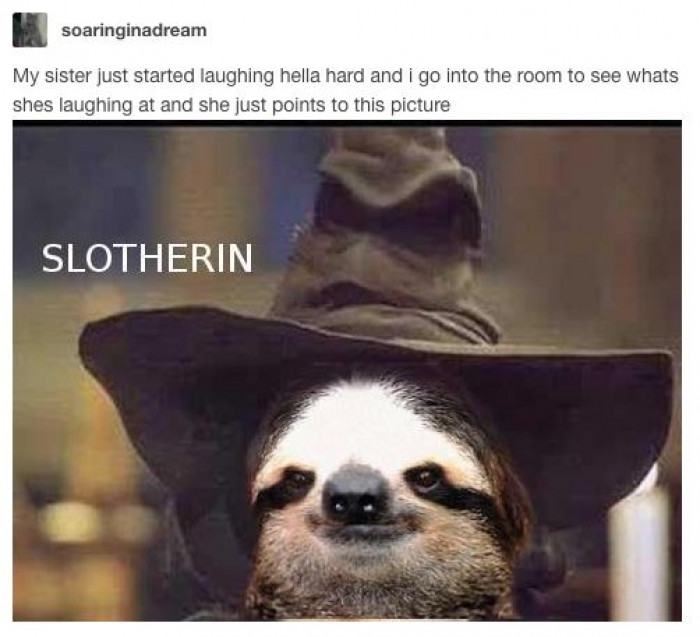 Slotherin